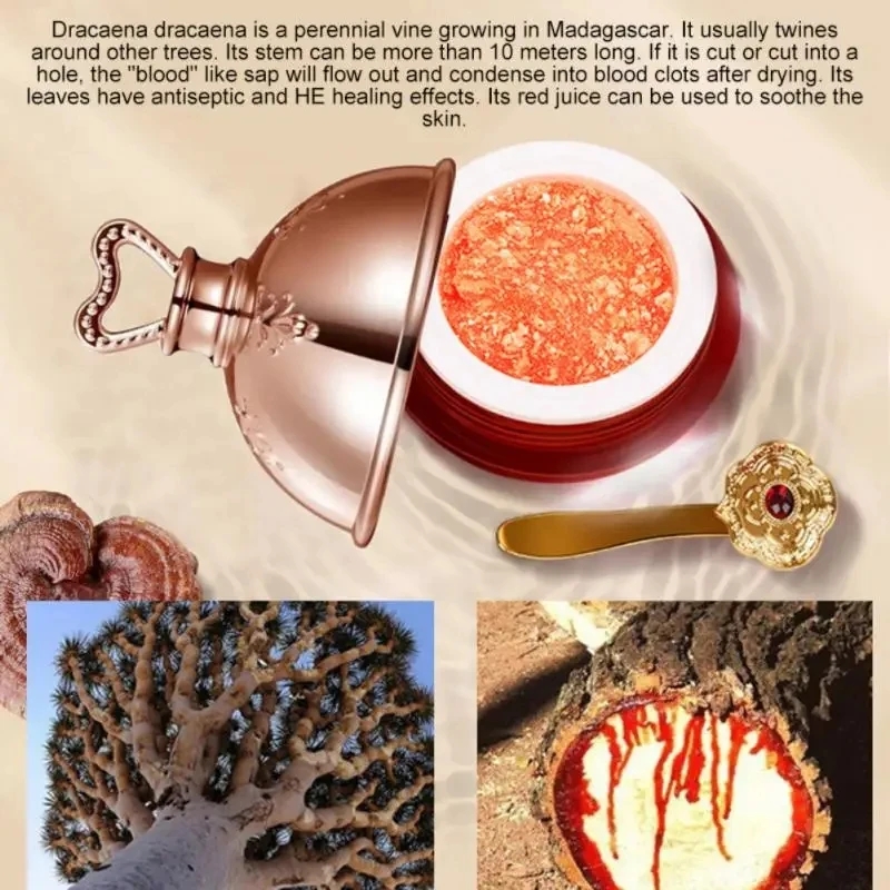 Krim Wajah naga, kosmetik Kore - Luxury Skincare Brands ulasan dan harga
